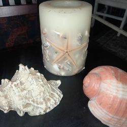 Seashell Candles