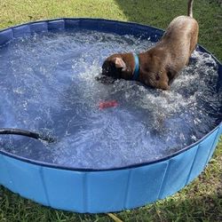 New Swimming Pool