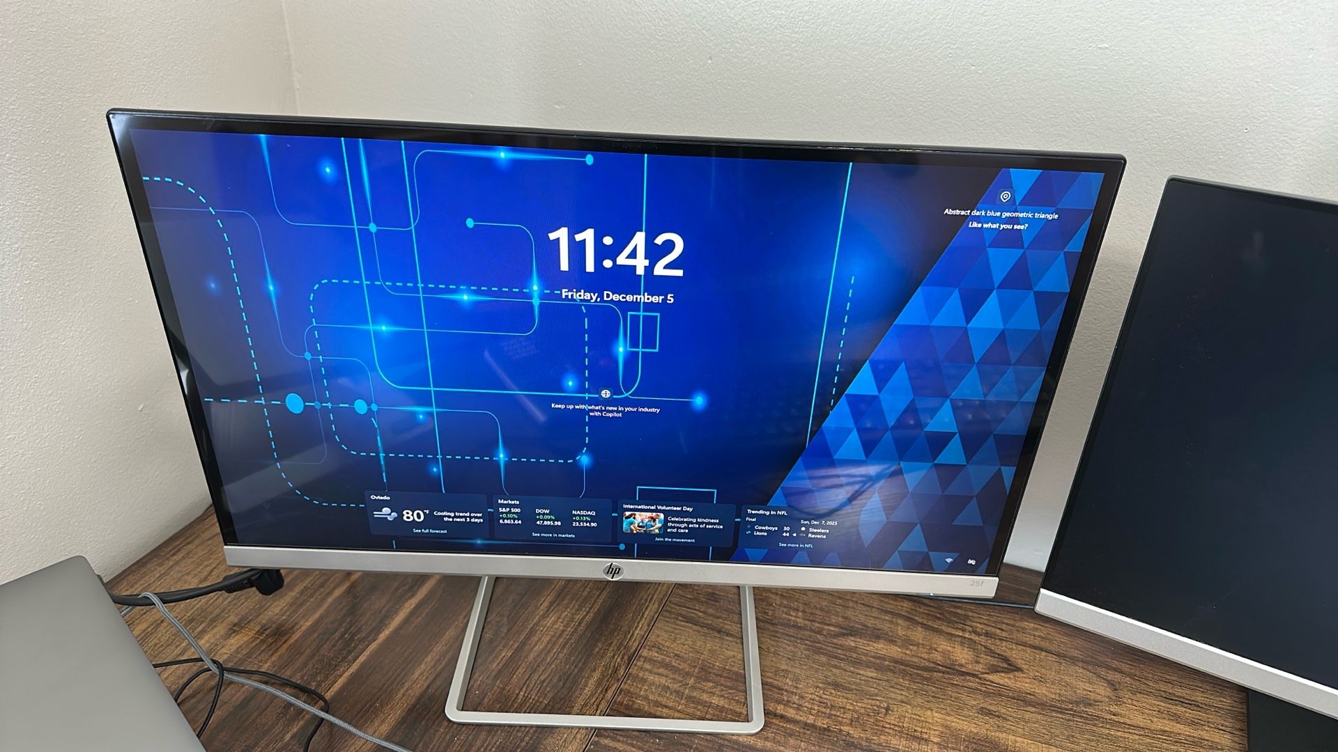 HP 25 Inch Slim Monitor