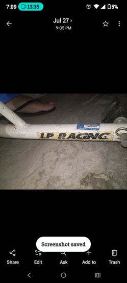 LP Racing Bike stand