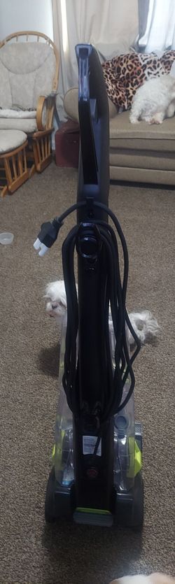 Carpet Cleaner