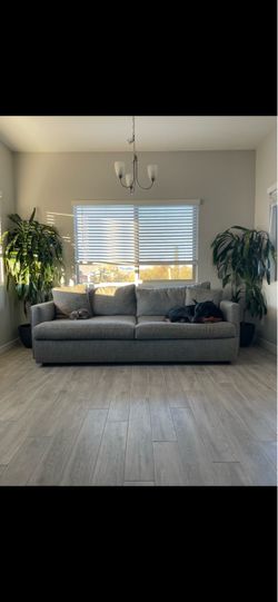 Large Gray Couch