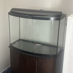 36 Gallon Fish Tank