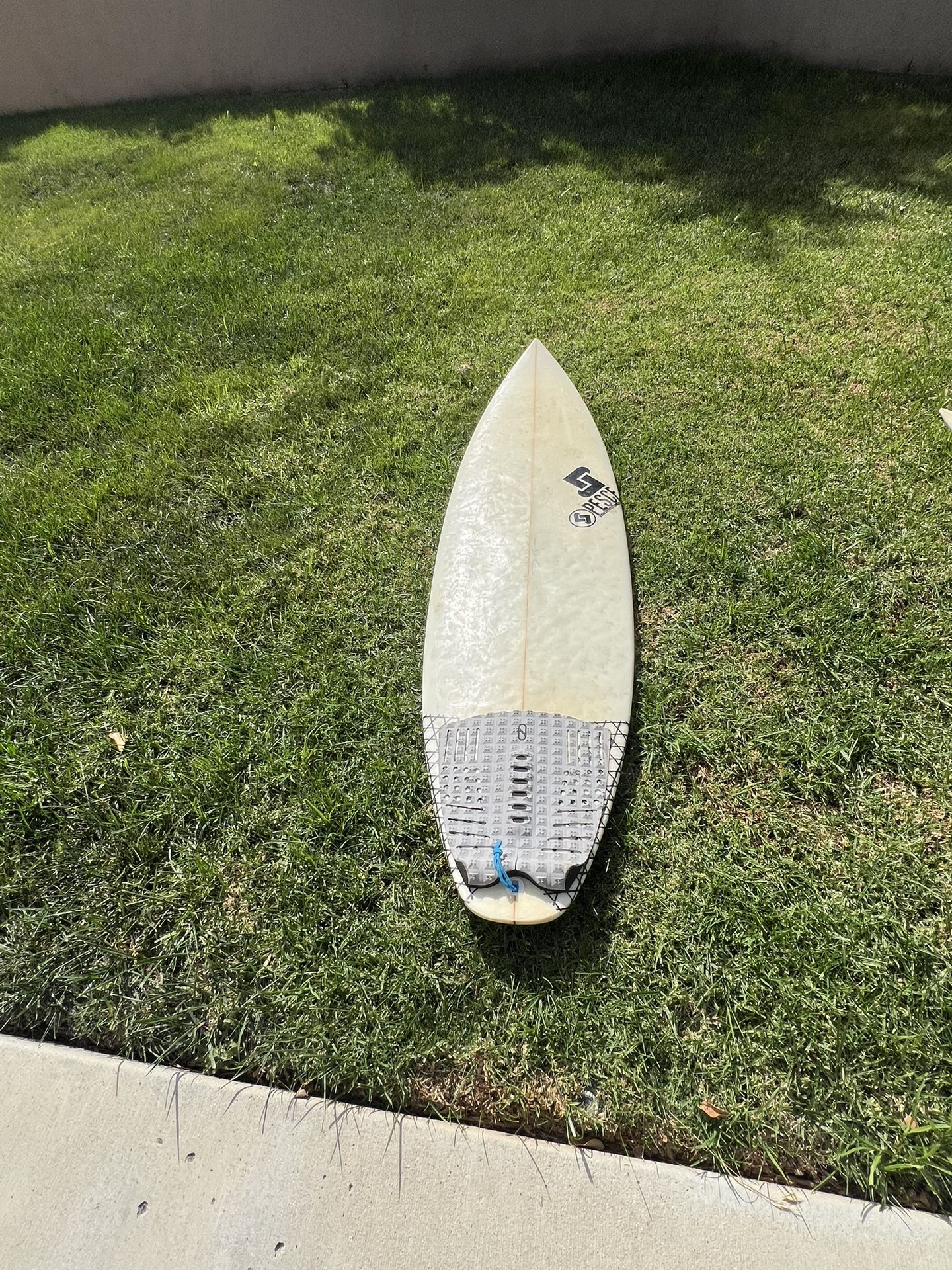Short Board Pesce 