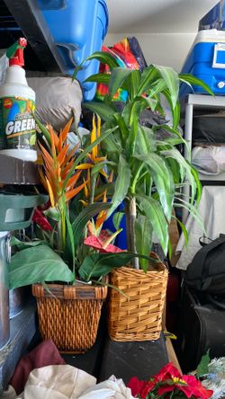 Two Artificial plants