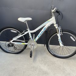 Fuji Bike