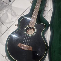 Ibanez Guitar 