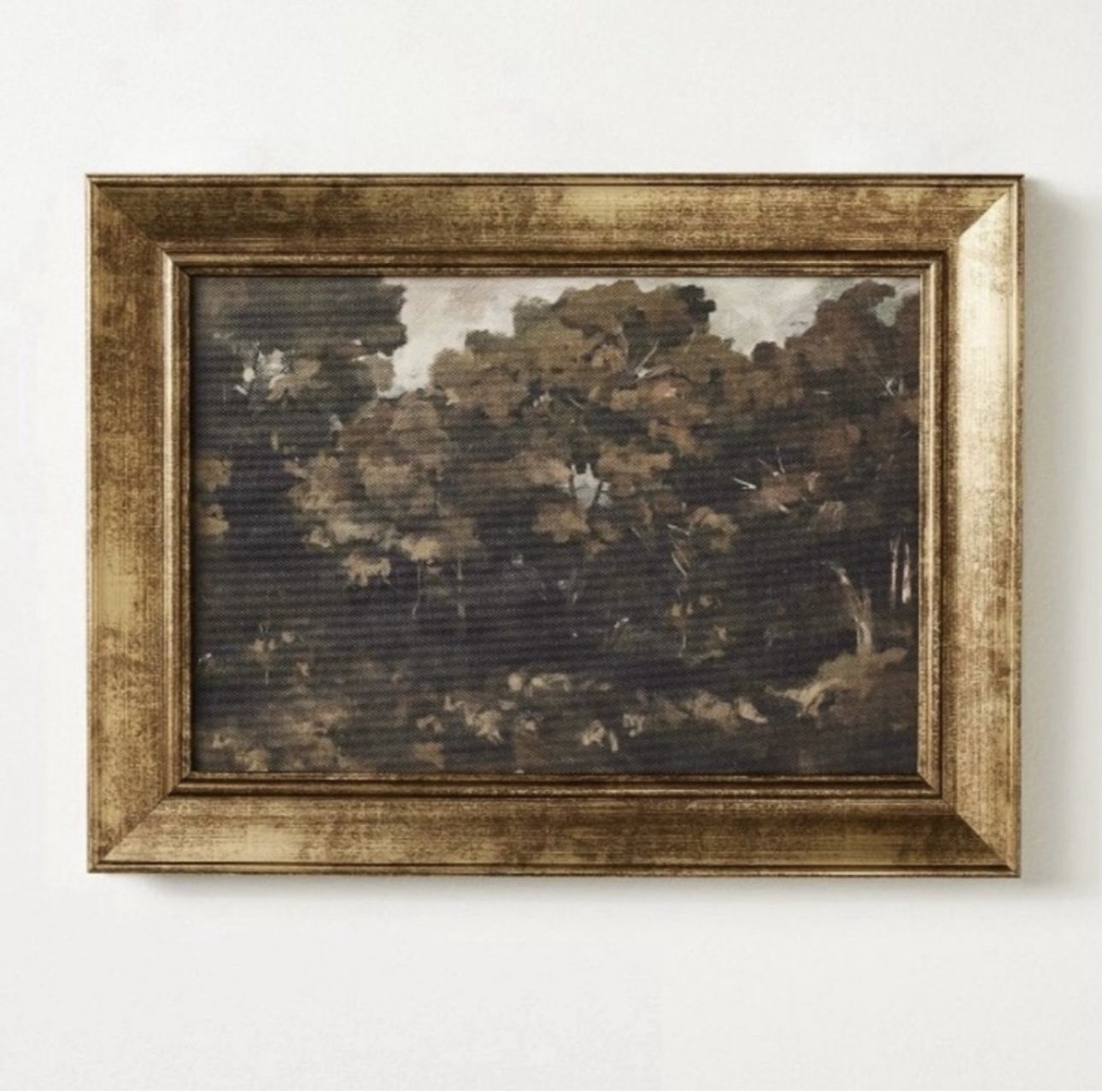 Threshold Moody Trees Framed Art