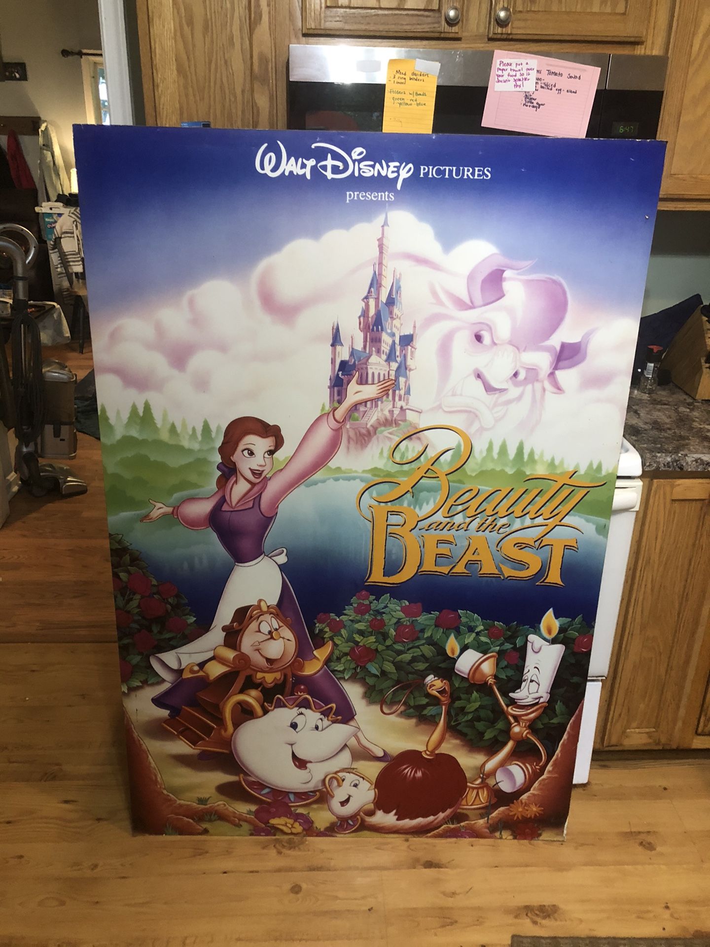 Beauty and the Beast Original Disney Movie Release Display
