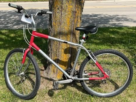2009 Giant Sedona ST Men's Bike - Bicycle