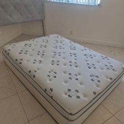 FREE headboard And Mattress Queen