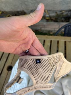 Small Dog Items