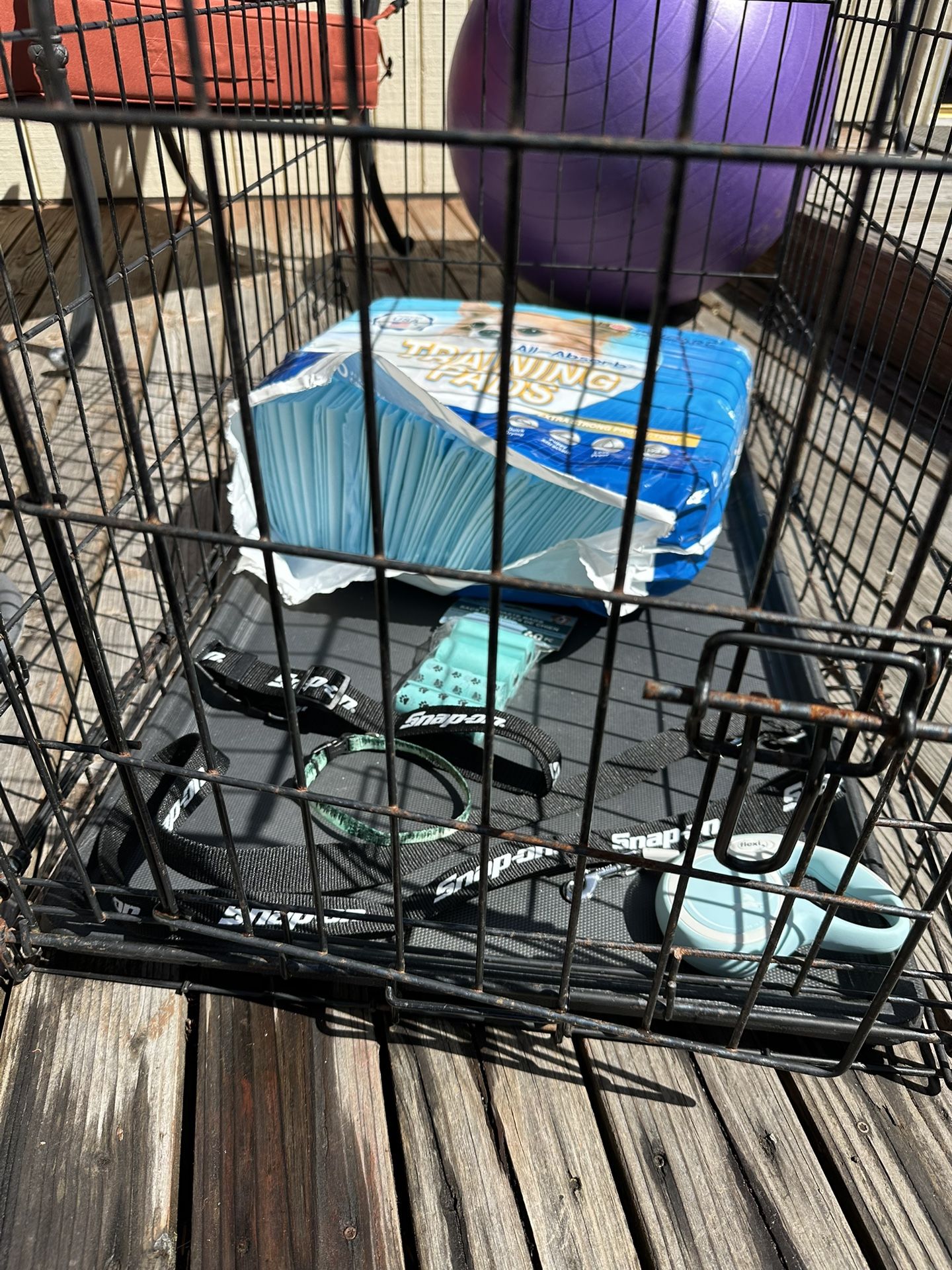 Puppy Starter Kit
