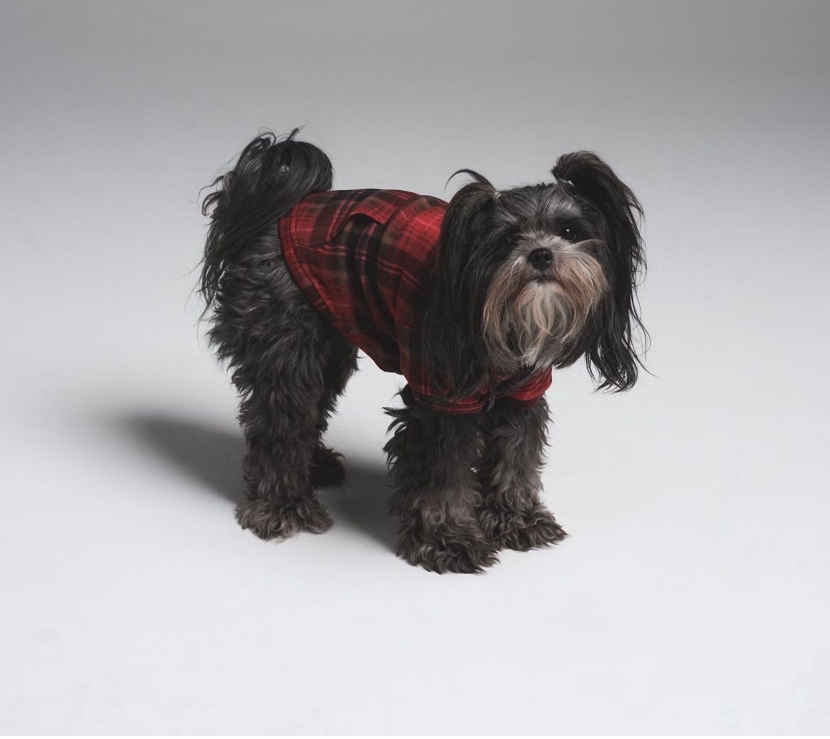 New Skims Doggie Jacket Sweater