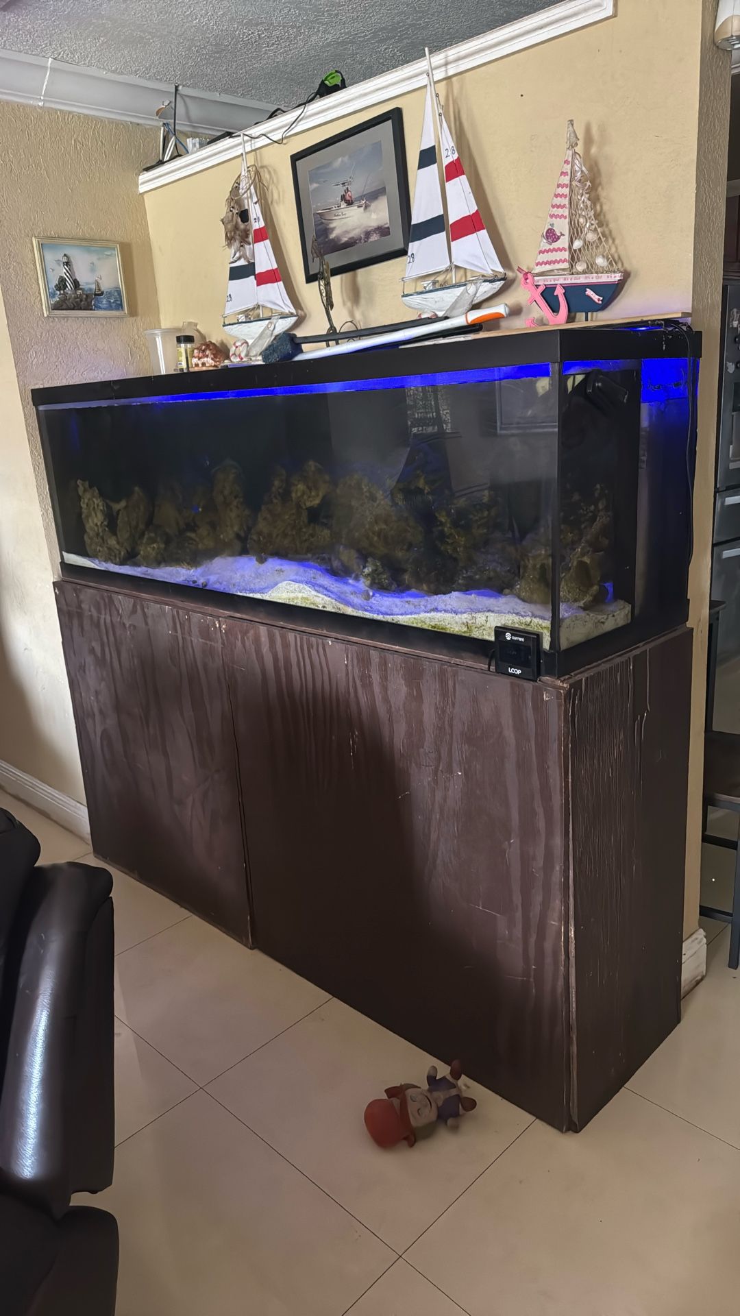 Saltwater Tank With Fish And All