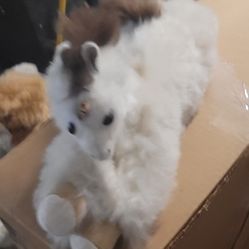 Alpaca Teddy 