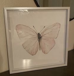 Frames