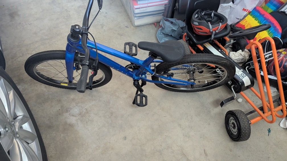 20 Inch Blue Bike