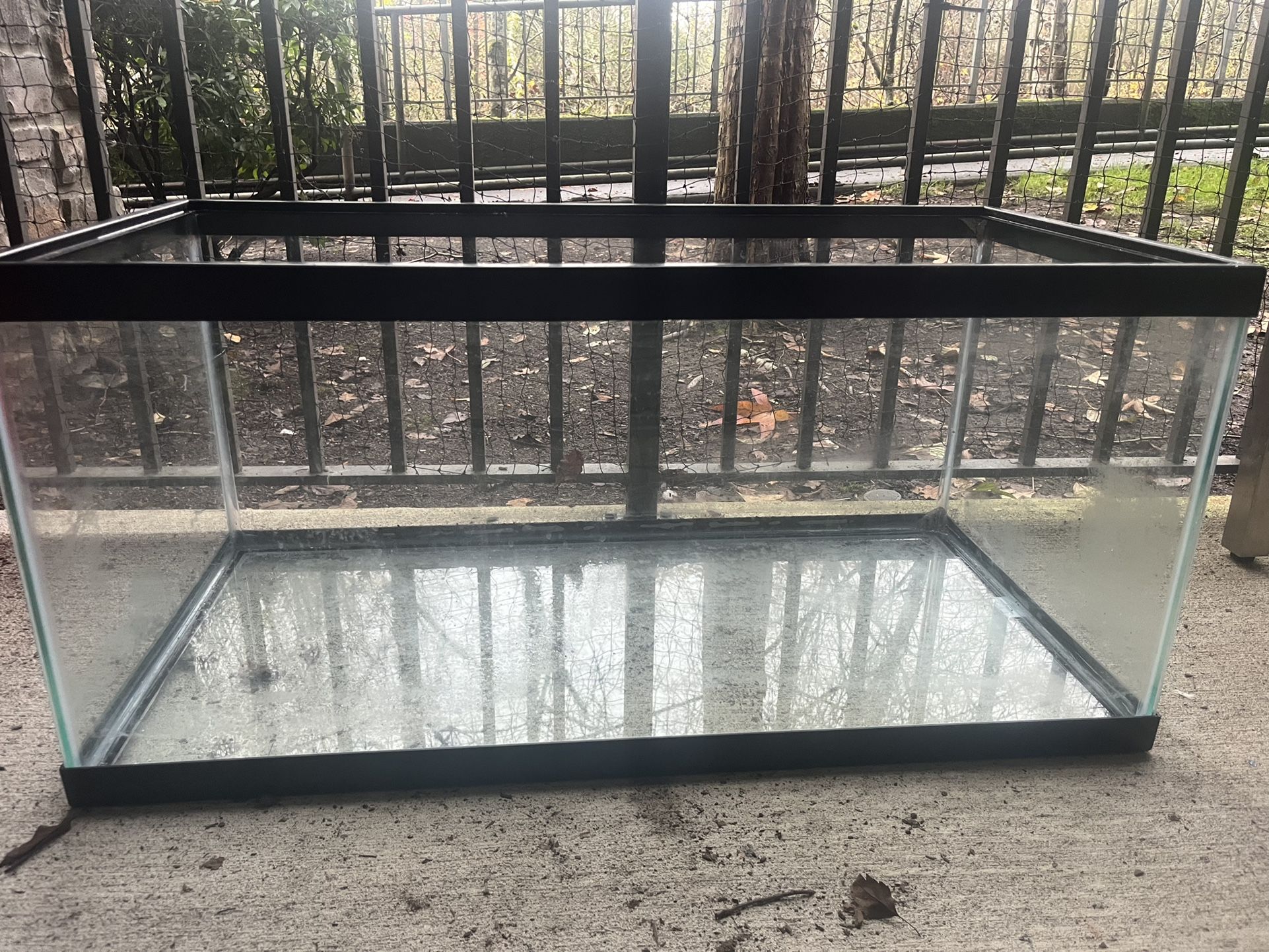 40 Gal Fish Tank, Table, Buckets, Suction Vacuum, And Light For Tank