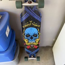 ROMABLE  LONG SKATE BOARDS.
