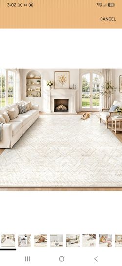 8x10 Rug