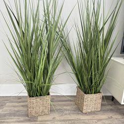 *FULL APARTMENT SELL*  Two Medium  Size Fake Plants 