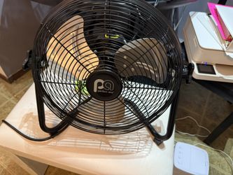 Fan