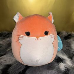 8" Squishmallows ERICA orange chinchilla 🐭 14 