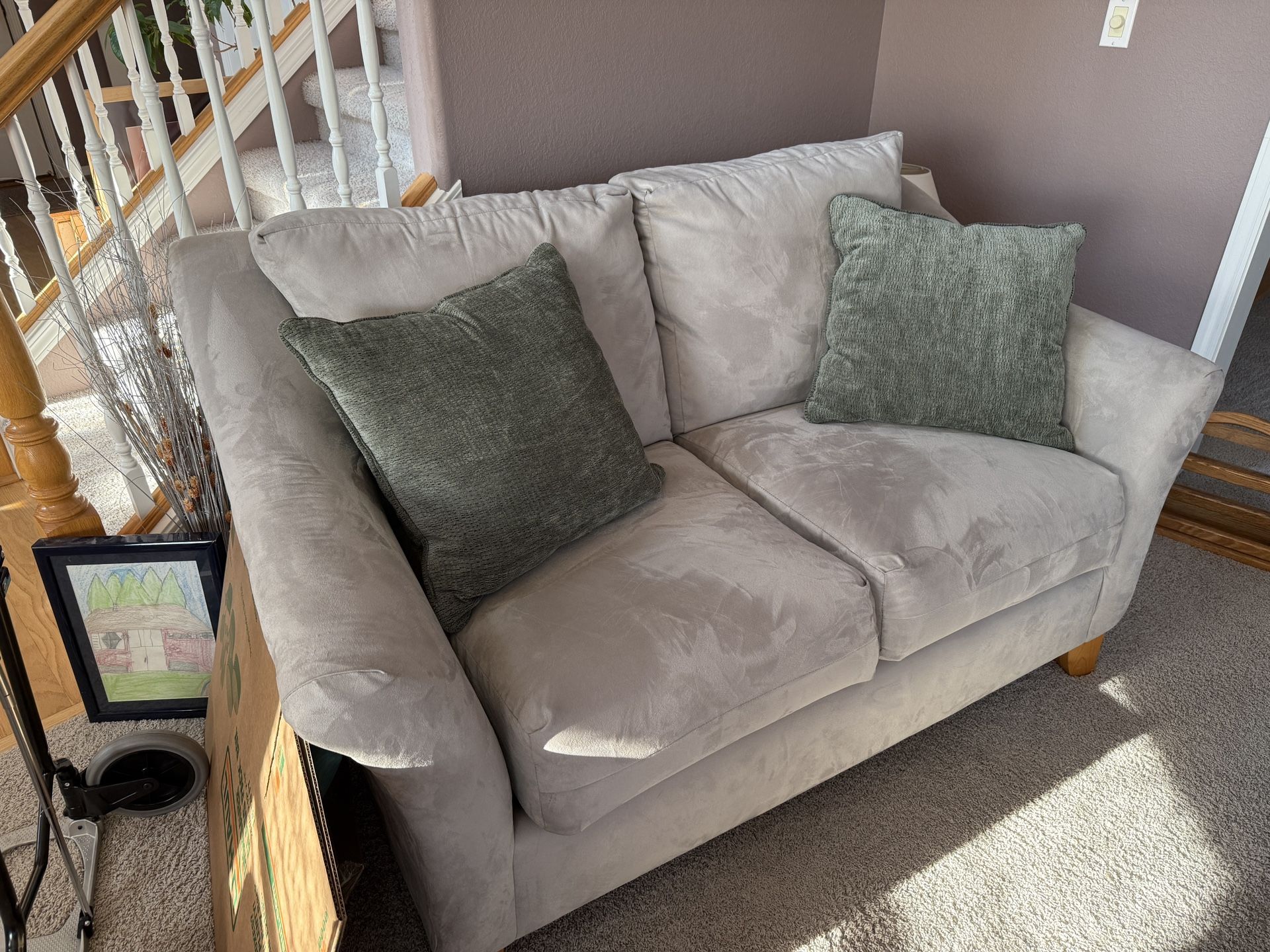 Luxury Microfiber Loveseats