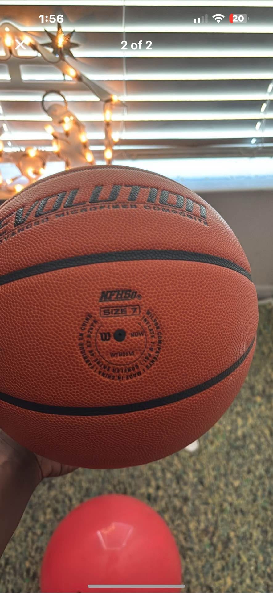 Wilson Basketball
