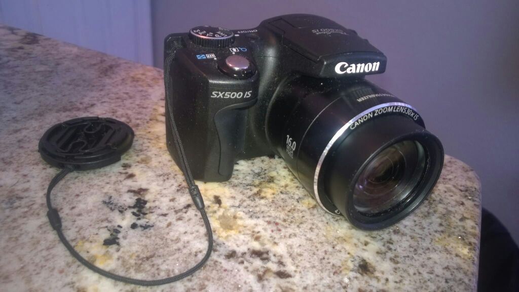 Canon sx500 IS professional