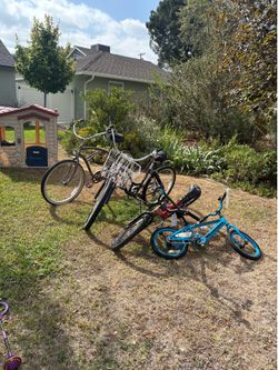 Bikes, baseball bats, compost bin
