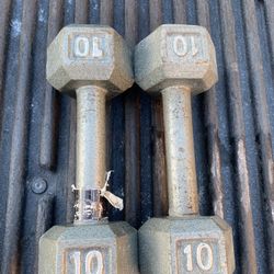 10lbs Dumbbells