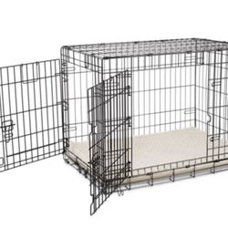 Kennel