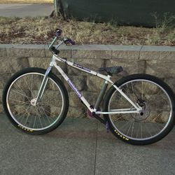 29 Inch Fitbike (maxed Out)