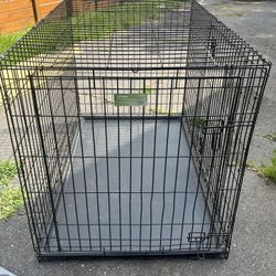 Large Dog Cage
