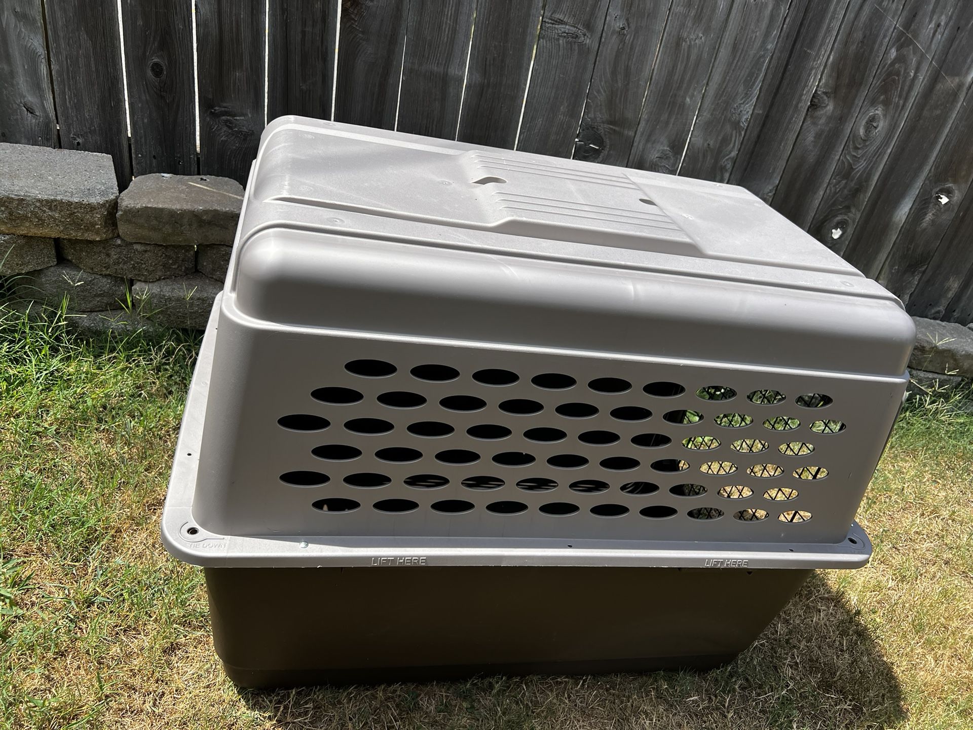 Cat Cage