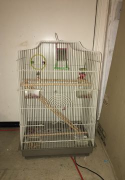 Bird cage with toys