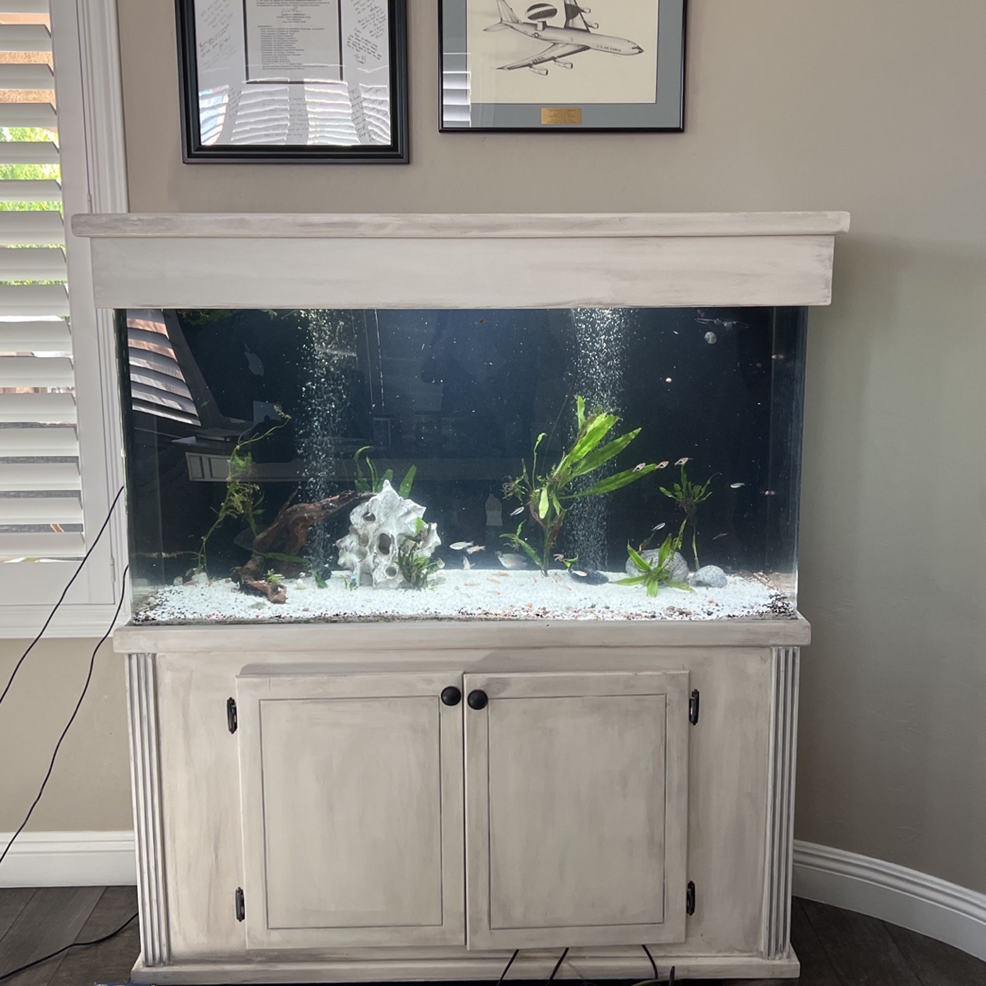 90gallon Acrylic Aquarium for Sale in Las Vegas, NV OfferUp