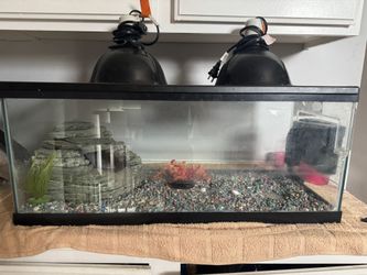20 Gallon Long Turtle/reptile Tank