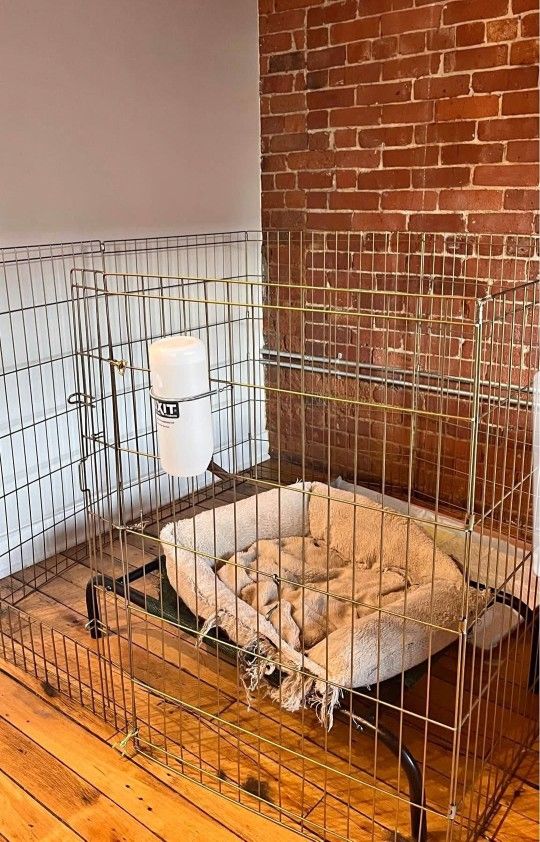 Dog Playpen & Crate for Medium Dogs (Up To 55lbs)