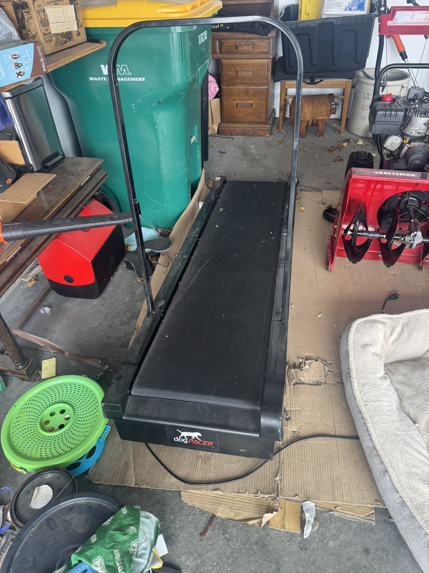 Dog Treadmill