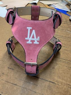 Harness