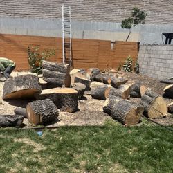 🔥 FREE FIREWOOD — COME & GET IT! 🔥  