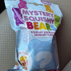 Mystery Bear Squishy
