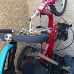 Special Needs Bike 
