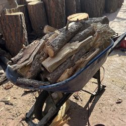 Firewood Pine Wood 