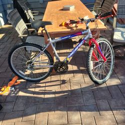 Free Adult Pacífico Cachet Bike