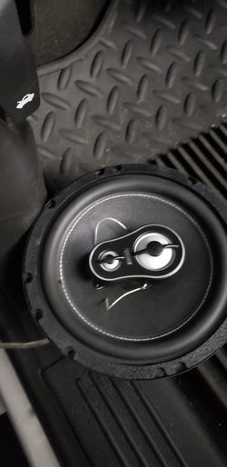 Ds18 6.5 speakers