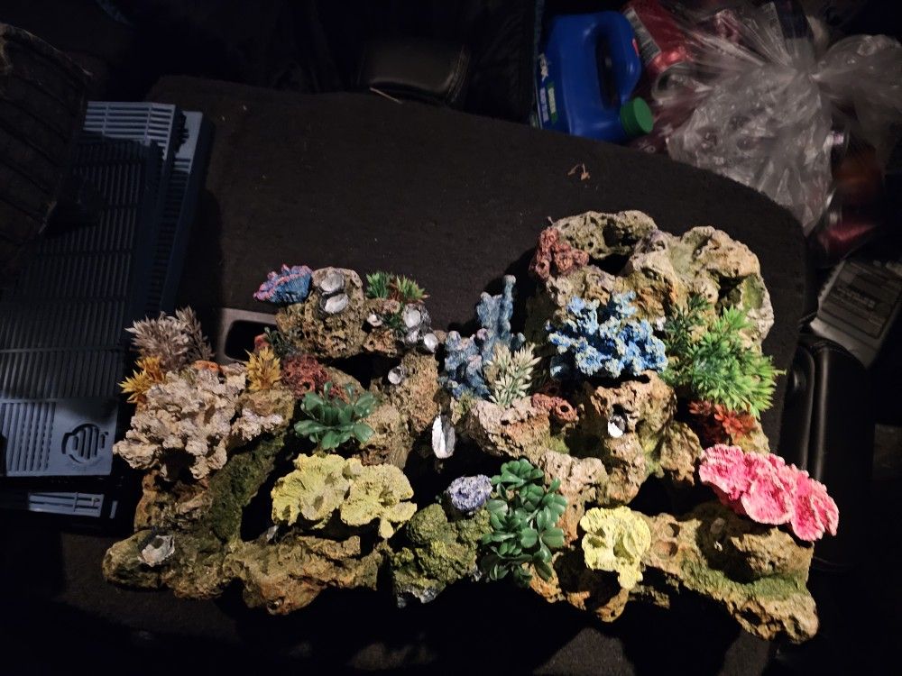 Coral Bubbler 